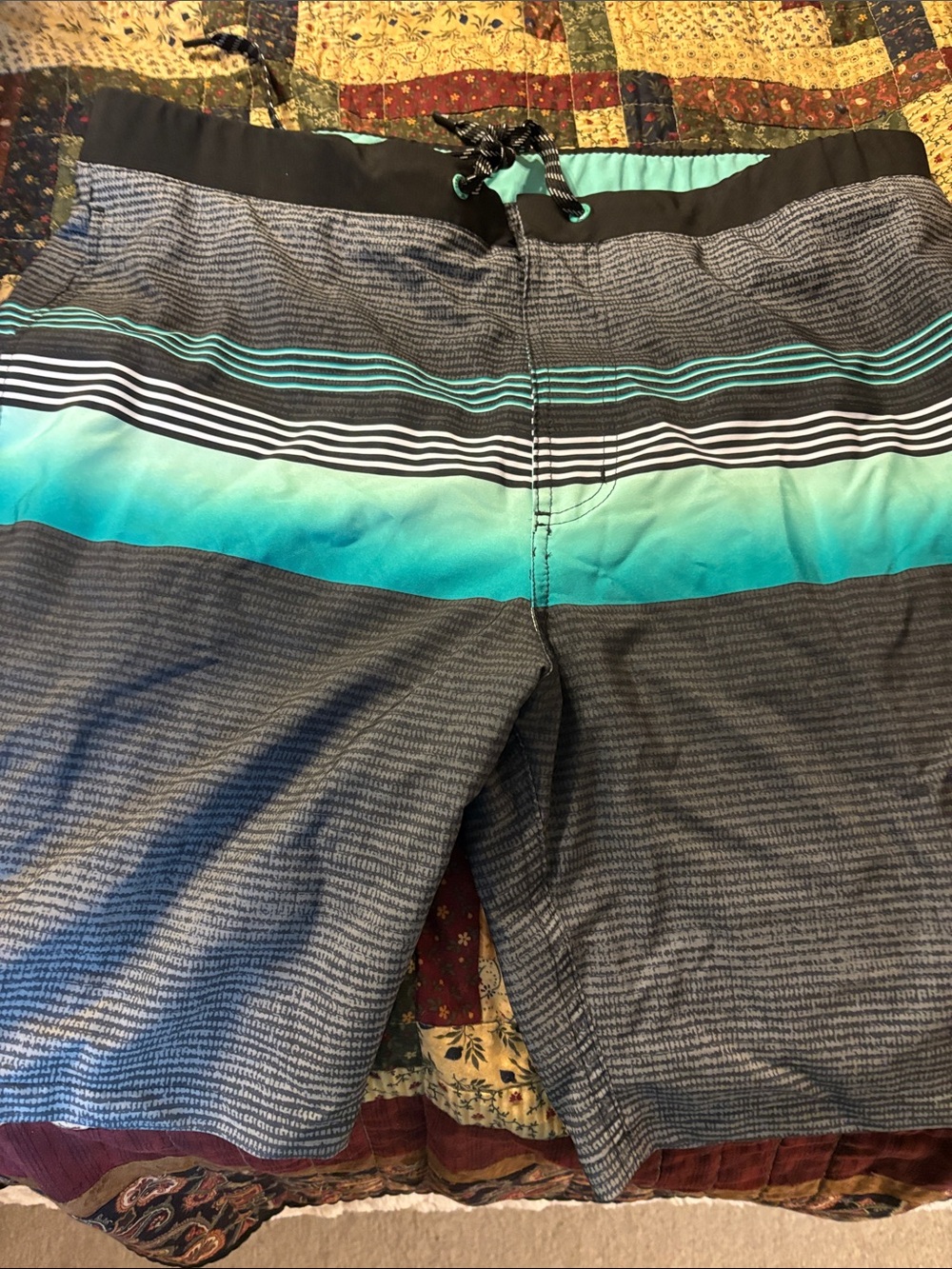 Men's Zeroxposur Swim Trunks in Teal and Black Stripe